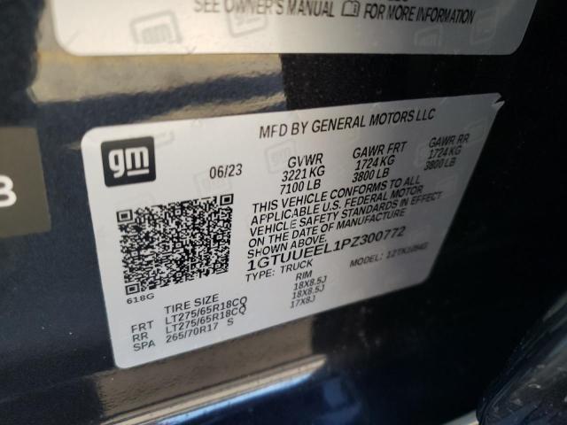 1GTUUEEL1PZ300772 GMC Sierra K1500 At4