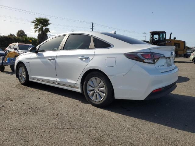 KMHE24L13GA011571 Hyundai SONATA HYBRID