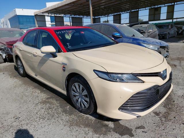 Auction sale of the 2019 Toyota Camry, vin: *****************, lot number: 45388404