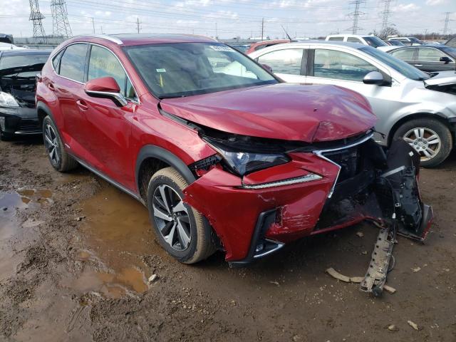 JTJGJRDZ2L5004144 Lexus NX 300H