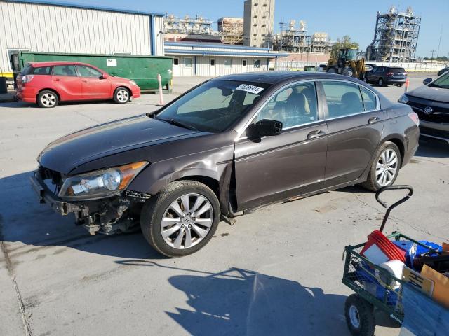 Auction sale of the 2011 Honda Accord Exl, vin: 1HGCP2F88BA071267, lot number: 46386944