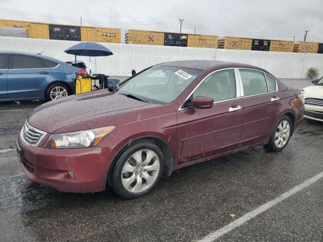 Auction sale of the 2008 Honda Accord Exl, vin: 1HGCP36878A035908, lot number: 45862434