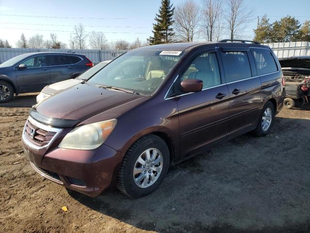 Auction sale of the 2009 Honda Odyssey Exl, vin: 00000000000000000, lot number: 44890494