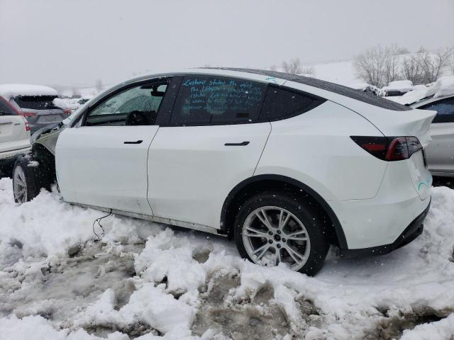 5YJYGAEE3MF295014 Tesla Model Y