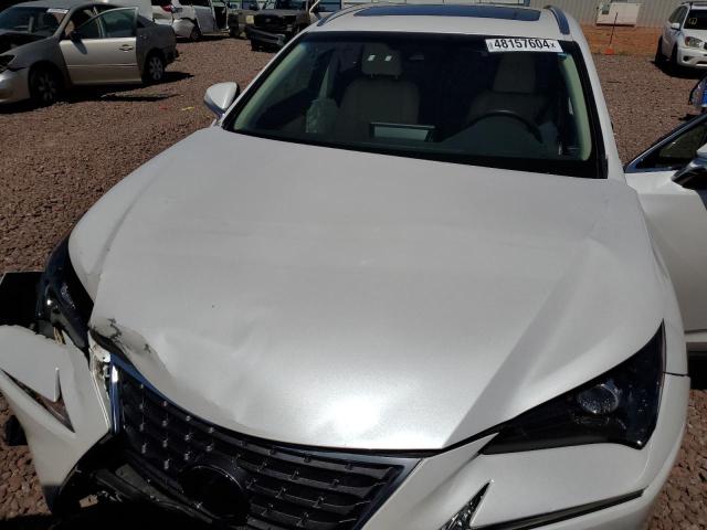 JTJBJRBZ9K2109616 Lexus NX 300H
