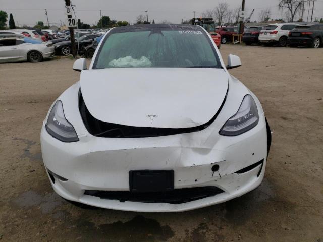 5YJYGDEE9MF074518 Tesla Model Y