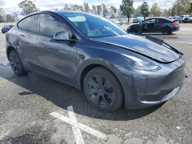 7SAYGDED1RF089192 Tesla 2024