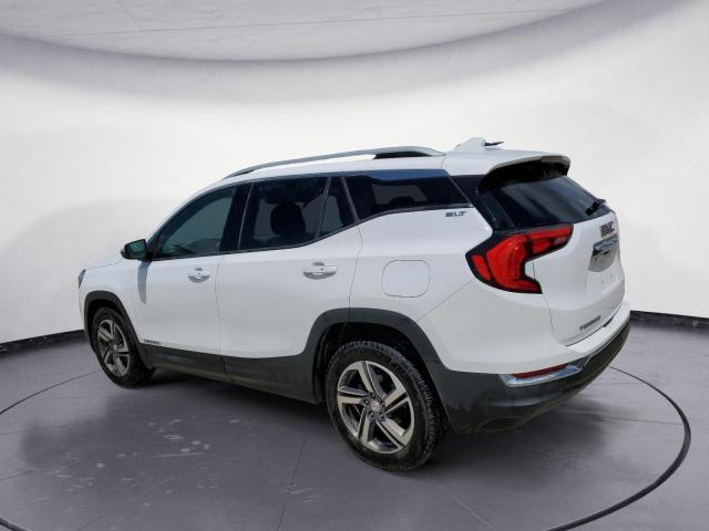 3GKALPEV3LL255195 GMC Terrain Slt