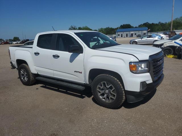 1GTG6FEN1N1191238 GMC Canyon At4