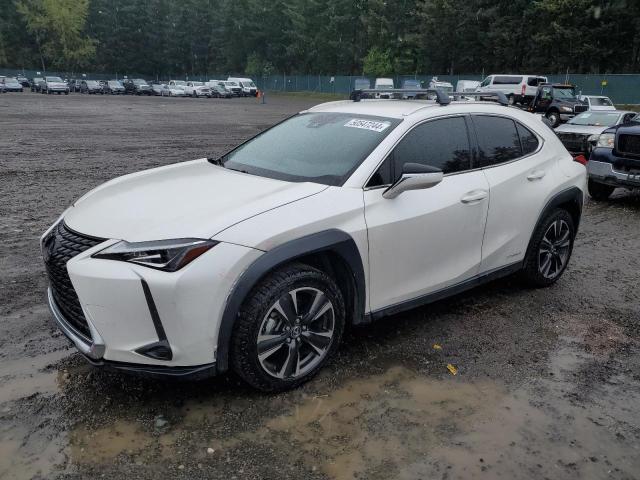 Auction sale of the 2020 Lexus Ux 250h, vin: JTHX9JBH7L2031217, lot number: 50547244