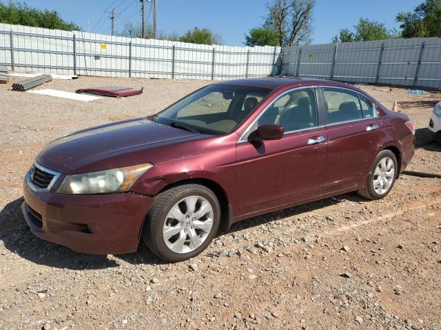 Auction sale of the 2008 Honda Accord Exl, vin: 1HGCP368X8A077456, lot number: 50936534
