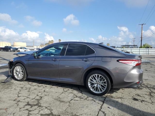 4T1F31AK5LU536202 Toyota CAMRY XLE