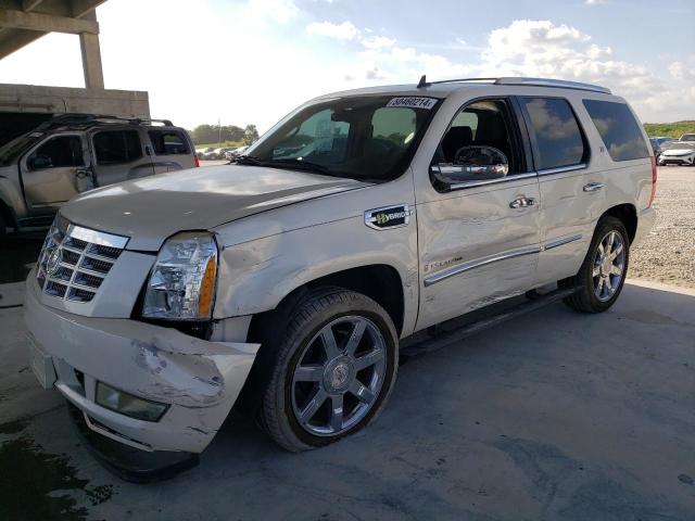 Auction sale of the 2009 Cadillac Escalade Hybrid, vin: 1GYFK435X9R178486, lot number: 50460214
