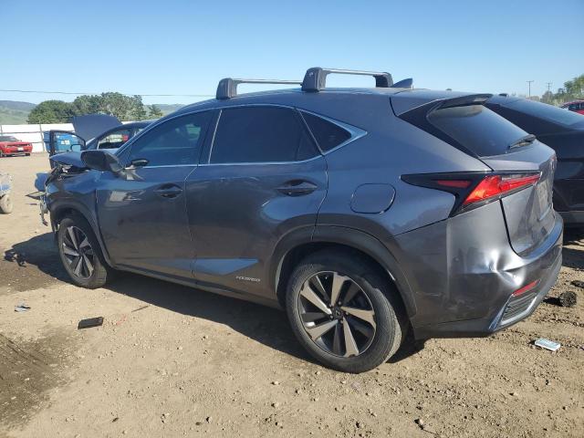 JTJGJRDZ6L2132436 Lexus NX 300H
