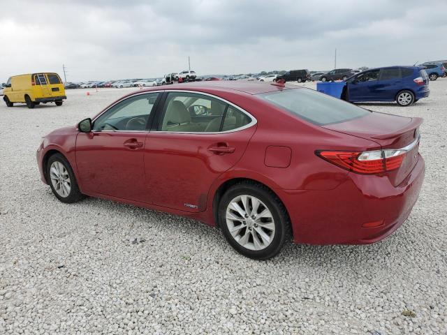 JTHBW1GG1E2039240 Lexus ES 300H