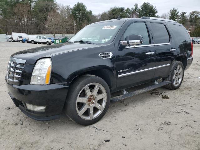 Auction sale of the 2010 Cadillac Escalade Premium, vin: 1GYUKCEF5AR206996, lot number: 49248234