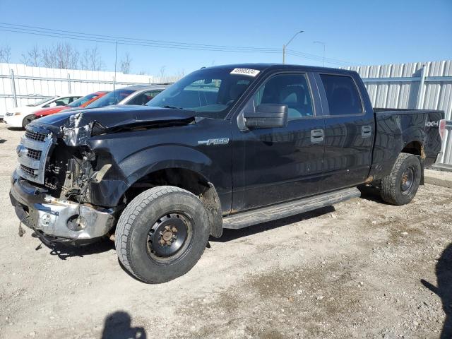 Auction sale of the 2014 Ford F150 Supercrew, vin: 1FTFW1EF5EFA95767, lot number: 49995324