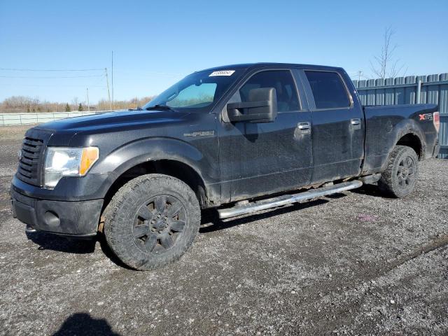 Auction sale of the 2010 Ford F150 Supercrew, vin: 1FTFW1EV8AFD68248, lot number: 51886854