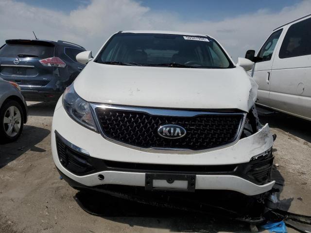 KNDPB3AC8G7871734 KIA Sportage Lx