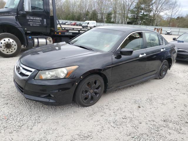 Auction sale of the 2010 Honda Accord Exl, vin: 1HGCP3F87AA004633, lot number: 52046874