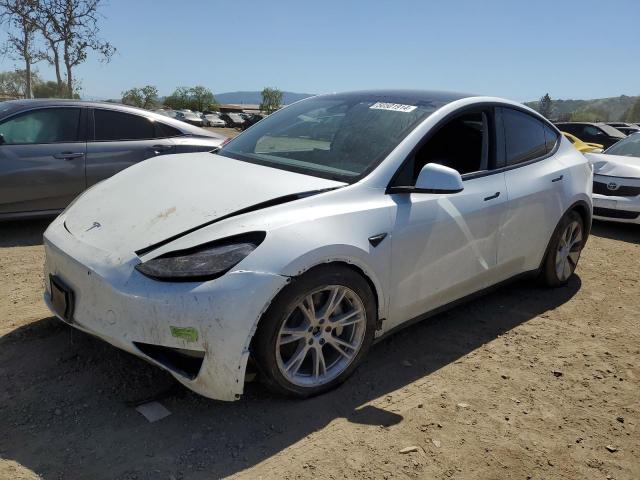 Продаж на аукціоні авто 2023 Tesla Model Y, vin: 7SAYGDEE2PF783783, номер лоту: 50501914