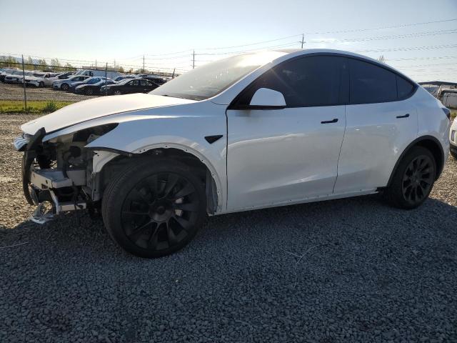 Продажа на аукционе авто 2023 Tesla Model Y, vin: 7SAYGDEE5PF751944, номер лота: 49004594