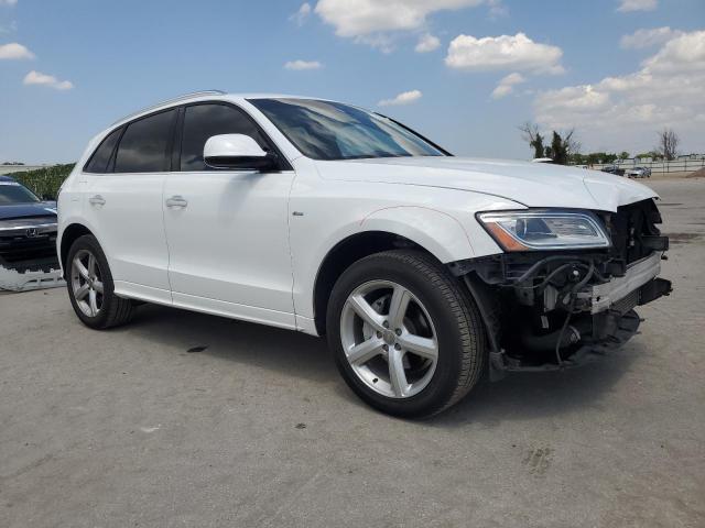 WA1M2AFP7HA054577 Audi Q5 Premium Plus