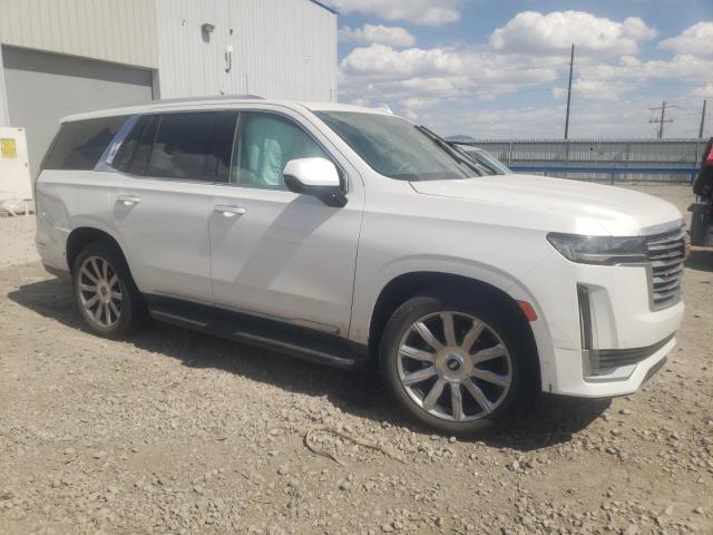 1GYS4DKL6MR315795 Cadillac Escalade Premium Luxury Platinum