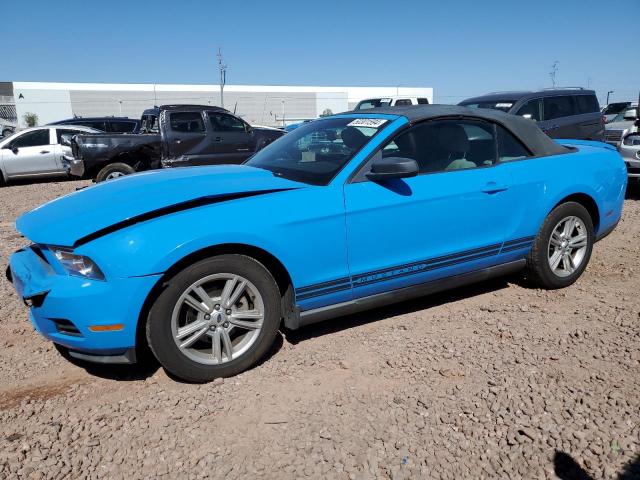 Auction sale of the 2010 Ford Mustang, vin: 1ZVBP8EN8A5175363, lot number: 50301594