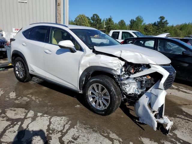 JTJDJRDZ0L5009717 Lexus NX 300H