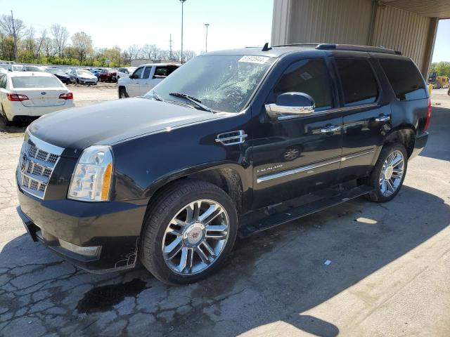 Auction sale of the 2011 Cadillac Escalade Platinum, vin: 1GYS4DEF8BR145474, lot number: 51970944