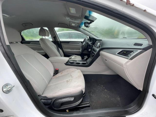 5NPE24AF5FH157318 Hyundai SONATA SE