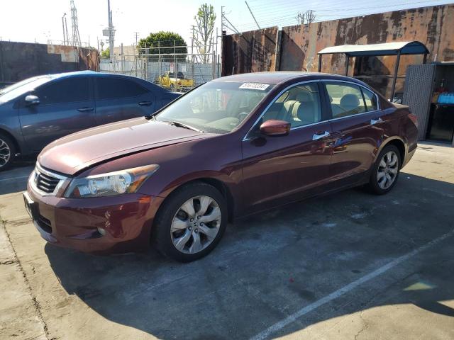 Auction sale of the 2008 Honda Accord Exl, vin: 1HGCP36838A011332, lot number: 51673234
