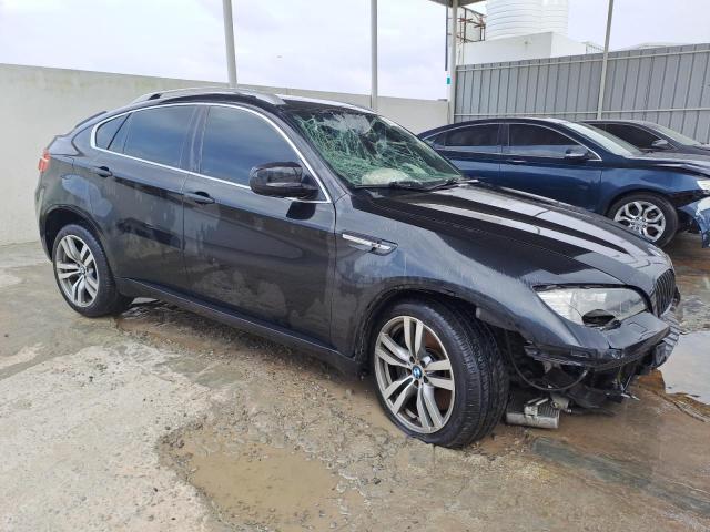 Auction sale of the 2010 Bmw X6, vin: *****************, lot number: 52252334