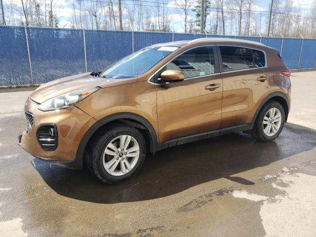 Auction sale of the 2017 Kia Sportage Lx, vin: KNDPMCAC4H7055583, lot number: 52445754