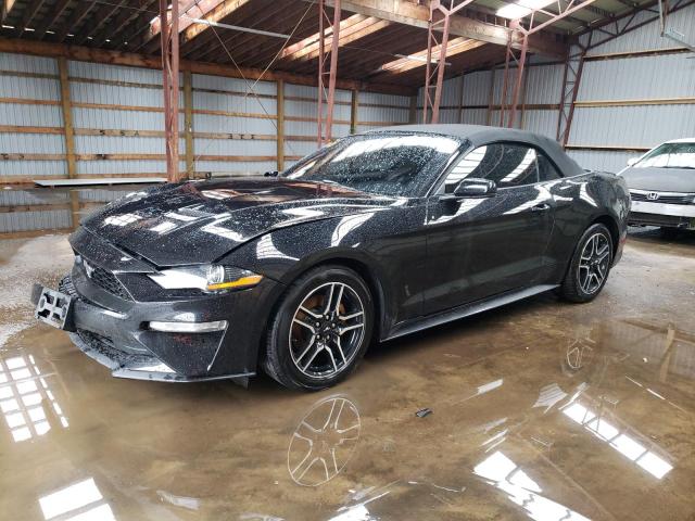 Auction sale of the 2019 Ford Mustang, vin: 00000000000000000, lot number: 49927514