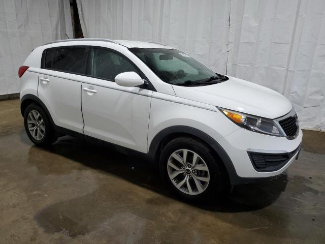 KNDPB3AC7G7802405 KIA Sportage Lx