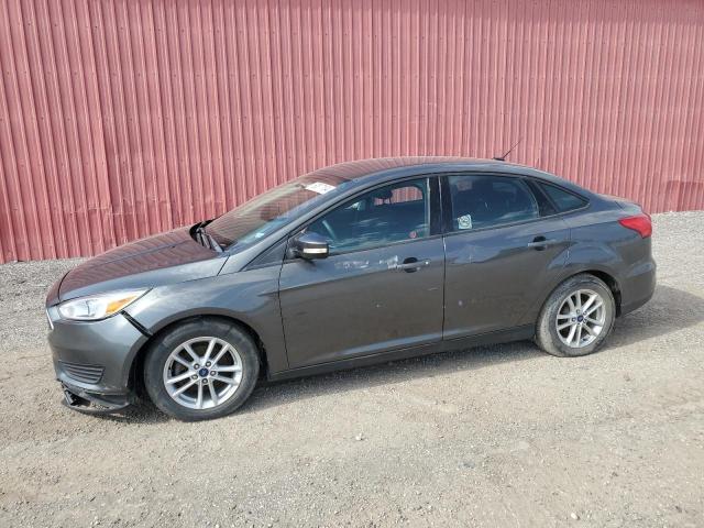 Auction sale of the 2015 Ford Focus Se, vin: 1FADP3F25FL245767, lot number: 50517104