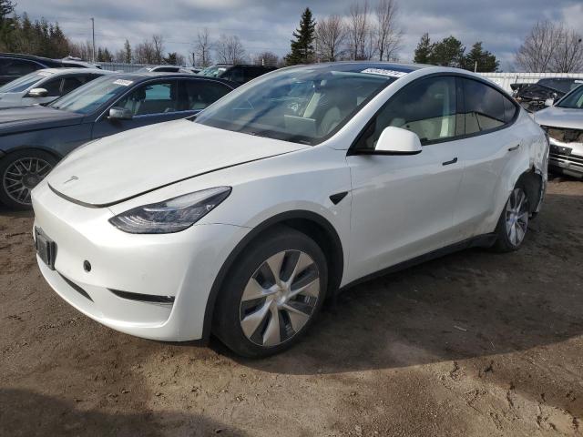 Продаж на аукціоні авто 2022 Tesla Model Y, vin: 7SAYGDEE6NF358564, номер лоту: 50420274