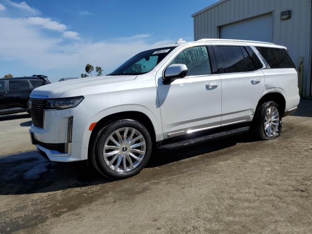 Auction sale of the 2023 Cadillac Escalade Premium Luxury, vin: 1GYS4BKLXPR414869, lot number: 51173224