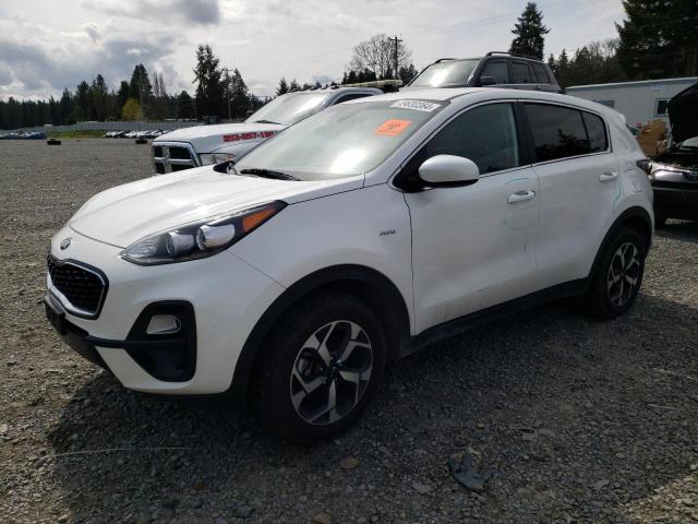 Auction sale of the 2022 Kia Sportage Lx, vin: KNDPMCAC8N7984395, lot number: 49630364