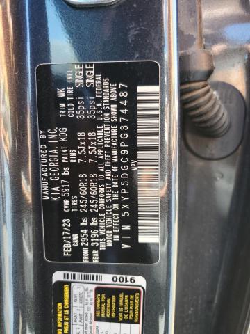 5XYP5DGC9PG374487 KIA Telluride Sx