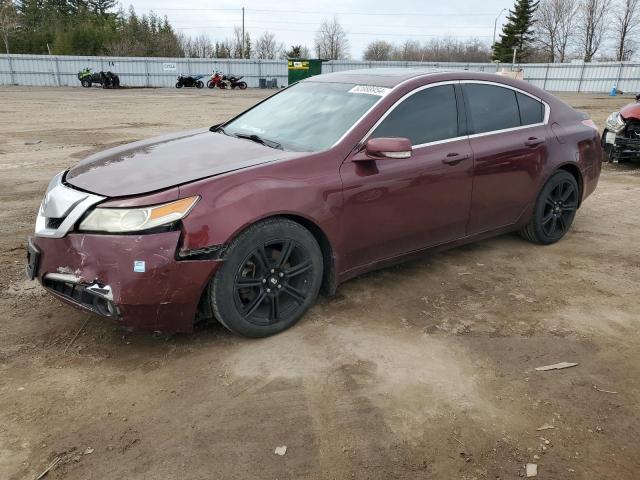 Auction sale of the 2009 Acura Tl, vin: 19UUA86209A800778, lot number: 52088954