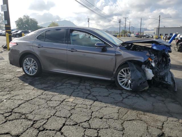 4T1F31AK5LU536202 Toyota CAMRY XLE