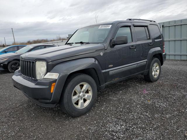 Auction sale of the 2011 Jeep Liberty Sport, vin: 1J4PN2GK0BW591203, lot number: 50556004