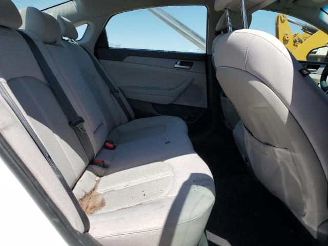 5NPE24AF9HH576422 Hyundai SONATA SE