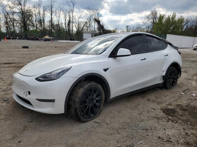 Продажа на аукционе авто 2020 Tesla Model Y, vin: 5YJYGDEEXLF008395, номер лота: 49642074