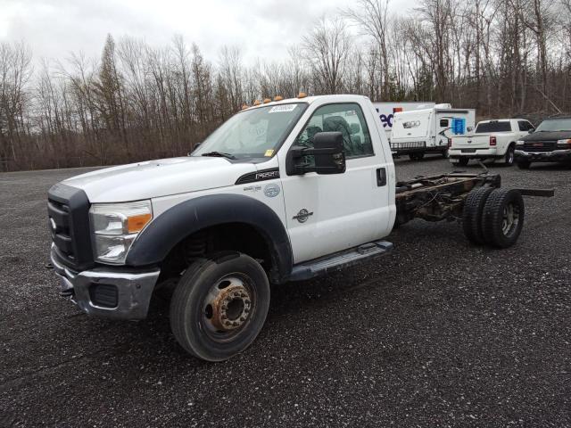 Auction sale of the 2012 Ford F550 Super Duty, vin: 1FDUF5GT4CEC14666, lot number: 49769934