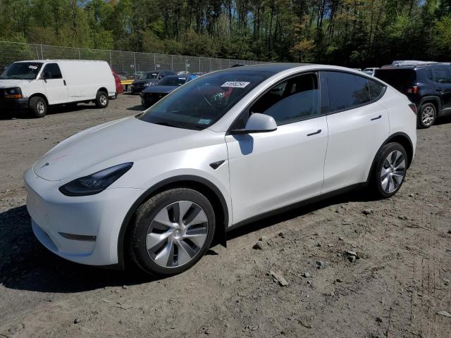 Продаж на аукціоні авто 2023 Tesla Model Y, vin: 7SAYGDEE7PA057401, номер лоту: 51695254