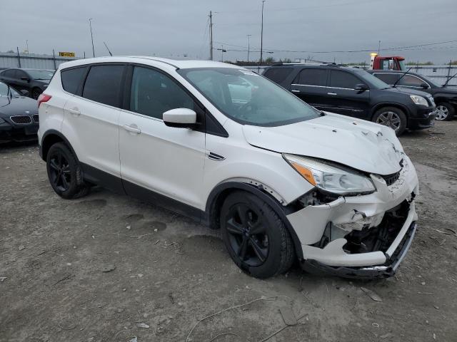 1FMCU0GX5EUB83847 Ford ESCAPE SE